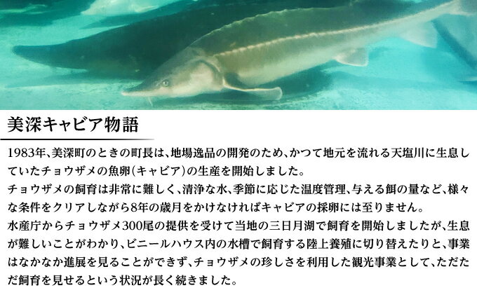 北海道産 帆立片貝 10枚