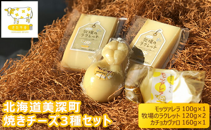 【ふるさと納税】北海道美深町 焼きチーズ3種セット（モッツァレラ・ラクレット・カチョカヴァロ）【北ぎゅう舎】 加工食品 乳製品