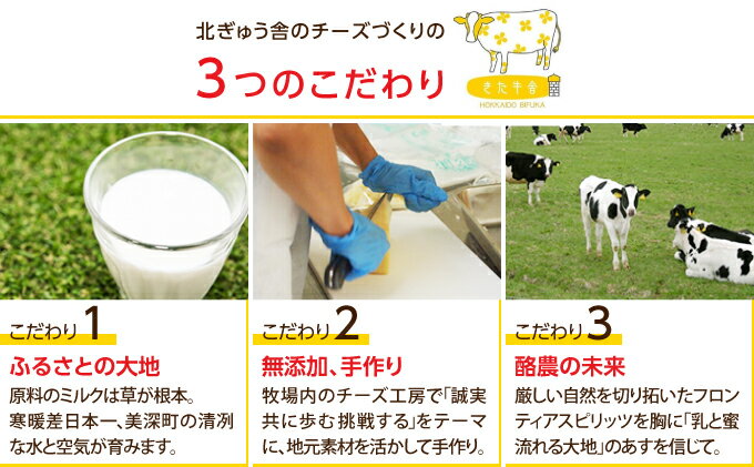 【ふるさと納税】北海道美深町 焼きチーズ3種セット（モッツァレラ・ラクレット・カチョカヴァロ）【北ぎゅう舎】 加工食品 乳製品