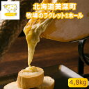 【ふるさと納税】北海道美深町 牧場のラクレット1ホール 4.8kg【北ぎゅう舎】　【加工食品・乳製品・チーズ】