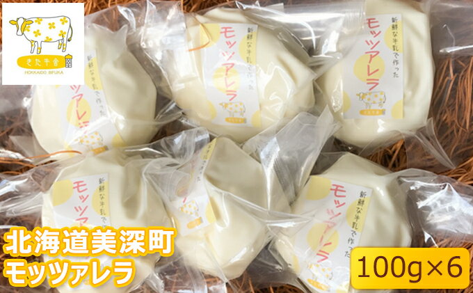 【ふるさと納税】北海道美深町 モッツァレラ100g×6【北ぎゅう舎】　【加工食品・乳製品・チーズ】