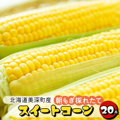 【ふるさと納税】【2024年発送】とうもろこし 20本 スイートコーン 北海道 美深町産 とうきび 野菜 果物　【 国産野菜 北海道産野菜 食材 朝収穫 産地直送 旬の味覚 採れたて 】　お届け：2024年8月中旬〜2024年9月中旬のサムネイル