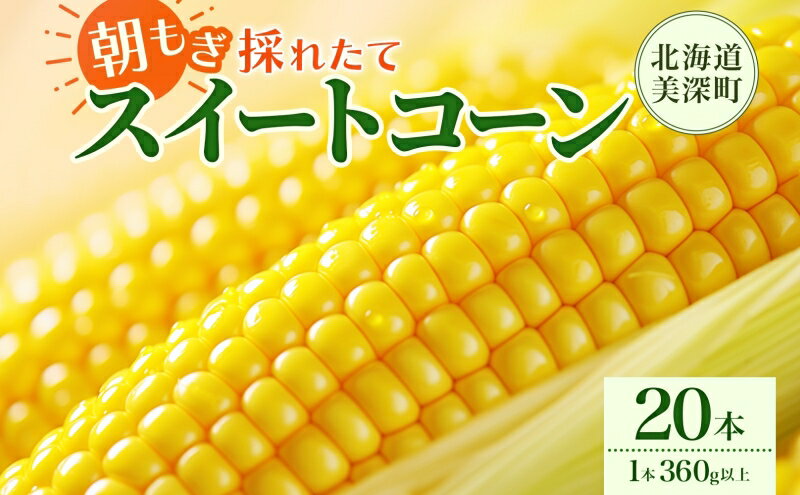 【ふるさと納税】とうもろこし 20本 スイートコーン トウモロコシ コーン 甘い 採れたて 朝採り 野菜 旬の野菜 農作物 お取り寄せ 北海道産 産地直送 北海道 美深町 お届け：2025年8月上旬～2025年8月下旬　お届け：2025年8月上旬～2025年8月下旬