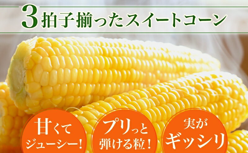 【ふるさと納税】とうもろこし 20本 スイートコーン トウモロコシ コーン 甘い 採れたて 朝採り 野菜 旬の野菜 農作物 お取り寄せ 北海道産 産地直送 北海道 美深町 お届け：2025年8月上旬～2025年8月下旬　お届け：2025年8月上旬～2025年8月下旬