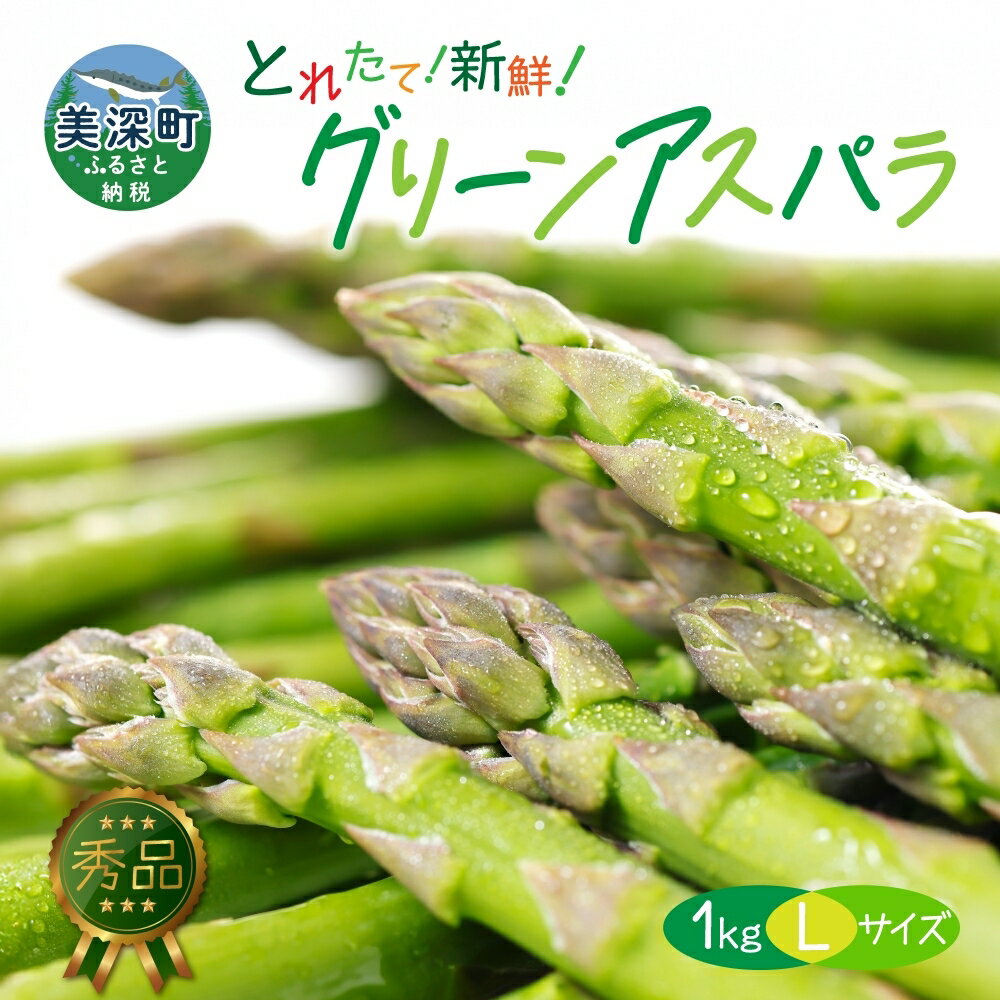 【ふるさと納税】【2025年発送】北海道美深町 グリーンアスパラ 1kg(L)【 秀品 】旬 新鮮 野菜 朝採れ アスパラ アスパラガス ギフト 産地直送 お取り寄せ フレッシュ 健康 美容 フレッシュ 甘い 北海道産　お届け：2025年5月中旬～2025年6月下旬のサムネイル