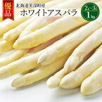 【ふるさと納税】ホワイトアスパラ 1kg(2L～3L)［優品］北海道 美深町産 アスパラガス 野菜　【 北海道野菜 旬の野菜 甘い みずみずしい 】　お届け：2024年4月中旬～2024年6月上旬