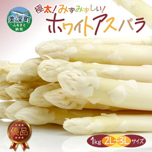 【ふるさと納税】ホワイトアスパラ 1kg(2L～3L)［優品］北海道 美深町産 アスパラガス 野菜　【 北海道野菜 旬の野菜 甘い みずみずしい 】　お届け：2024年4月中旬～2024年6月上旬