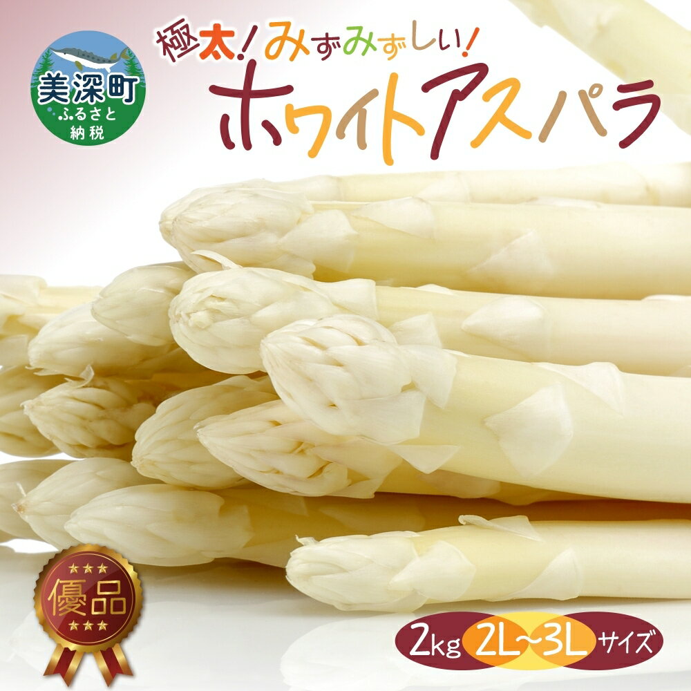 13位! 口コミ数「1件」評価「5」ホワイトアスパラ 2kg (2L～3L)［優品］北海道 美深町産 アスパラガス 野菜　【 北海道野菜 旬の野菜 甘い みずみずしい 】　お届･･･ 