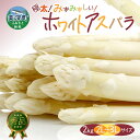 【ふるさと納税】ホワイトアスパラ 2kg(2L～3L)［秀品］北海道 美深町産 アスパラガス 野菜　【 北海道野菜 旬の野菜 甘い みずみずしい 】　お届け：2024年4月中旬～2024年6月上旬