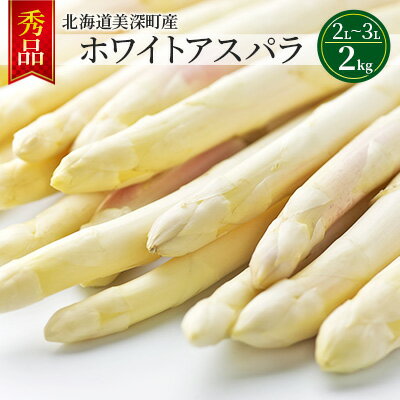 ホワイトアスパラ 2kg(2L～3L)［秀品］北海道 美深町産 アスパラガス 野菜　【 北海道野菜 旬の野菜 甘い みずみずしい 】　お届け：2024年4月中旬～2024年6月上旬