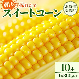 【ふるさと納税】とうもろこし 10本 スイートコーン トウモロコシ コーン 甘い 採れたて 朝採り 野菜 旬の野菜 農作物 お取り寄せ 北海道産 産地直送 北海道 美深町 お届け:2026年8月3日~2026年8月28日