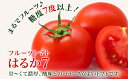 北海道美深町の画像3