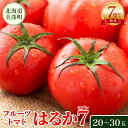 【ふるさと納税】【2025年発送】 糖度7度以上 フルーツトマト はるか7(セブン) 20~30玉 トマト 野菜 夏 野菜 旬 甘い 濃厚 果物 フルーツ 高糖度 新鮮 産地直送 北海道 美深町 お届け:2025年7月上旬~2025年10月上旬まで