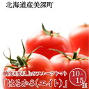 【ふるさと納税】【2024年発送】糖度8度以上 フルーツトマト はるか8（エイト）10～15玉 北海道 美深町産 トマト 野菜 夏　【 北海道野菜 旬の野菜 甘い みずみずしい 極上トマト 】　お届け：2024年7月上旬～2024年10月上旬