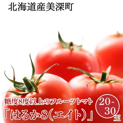 楽天ふるさと納税　【ふるさと納税】【2024年発送】糖度8度以上 フルーツトマト はるか8（エイト）20～30玉 北海道 美深町産 トマト 野菜 夏　【 北海道野菜 旬の野菜 甘い みずみずしい 極上トマト 】　お届け：2024年7月上旬～2024年10月上旬まで