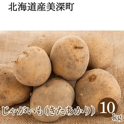 【2024年発送】じゃがいも 10kg（きたあかり）北海道 美深町産 いも ジャガイモ 秋　【 北海道野菜 ホクホク 甘み 根菜 産地直送 】　お届け：2024年9月中旬～2024年10月中旬