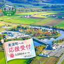 【ふるさと納税】北海道美深町 寄附のみの応援受付 3,000円コース(返礼品なし 寄附のみ 3000円) チケット