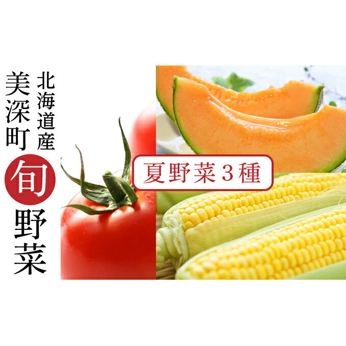 【ふるさと納税】【2024年発送】美深の旬の夏野菜3種（フルーツトマト・メロン・とうもろこし）【北海道美深町産】　【定期便・ フルーツ 赤肉 おいしい 直送 甘み 濃厚 朝採り もぎたて 新鮮 】　お届け：2024年7月出荷開始