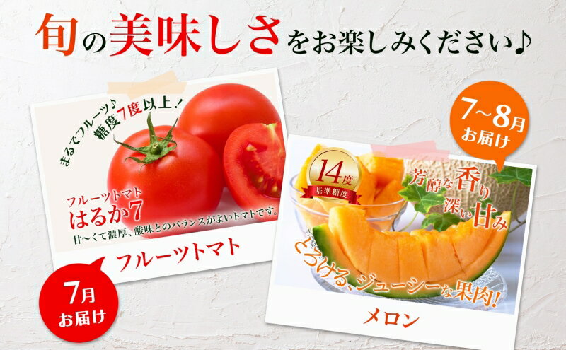 Cento トマトペースト、6オンス (6個パック) Cento Tomato Paste, 6 Ounce (Pack of 6)