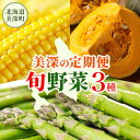 【ふるさと納税】【2026年発送】北海道 美深町 旬の野菜 3種 定期便 グリーンアスパラ 1kg とうもろこし 10本 かぼちゃ 10kg 野菜 夏野菜 フルーツ アスパラ コーン スイートコーン カボチャ 南瓜 直送 新鮮 お届け:2026年5月中旬より出荷開始