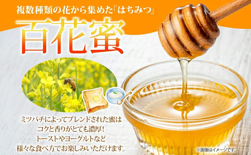 【ふるさと納税】北海道 美深産 はちみつ 3種 そばはちみつ 百花はちみつ あざみは...