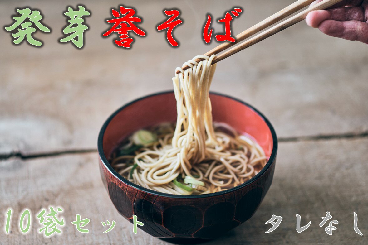 【ふるさと納税】北海道中川町産発芽そば使用　誉そば10袋セット（乾麺240g×10袋）タレなし