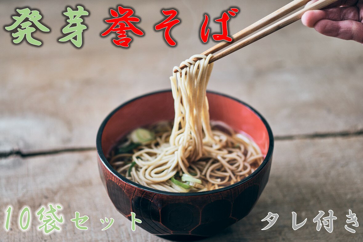 【ふるさと納税】北海道中川町産発芽そば使用　誉そば10袋セット（乾麺240g×10袋）タレあり