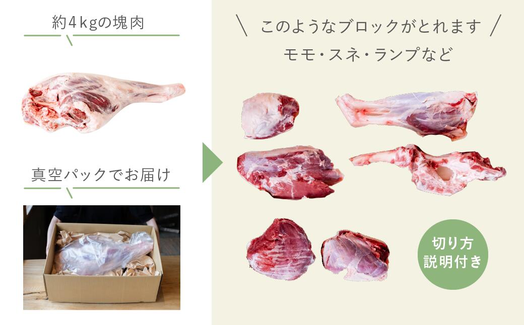 【ふるさと納税】【北海道中川町】＜横山牧場 やまのよこのひつじ＞6分割【後ろ部位】放牧育ち ホゲット肉 国産 希少 羊肉 塊肉 骨付き モモ スネ ランプ お肉 肉 焼肉 プレミアム