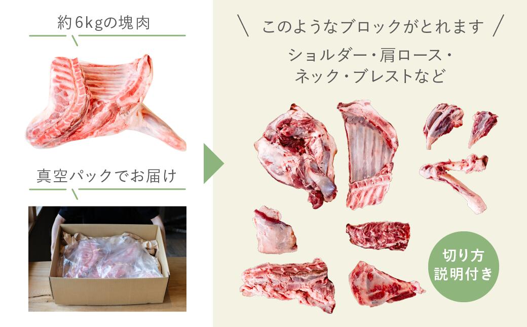 【ふるさと納税】【北海道中川町】＜横山牧場 やまのよこのひつじ＞6分割【前部位】放牧育ち ホゲット肉 国産 希少 羊肉 塊肉 骨付き ショルダー 肩ロース ネック ブレスト お肉 肉 焼肉 プレミアム