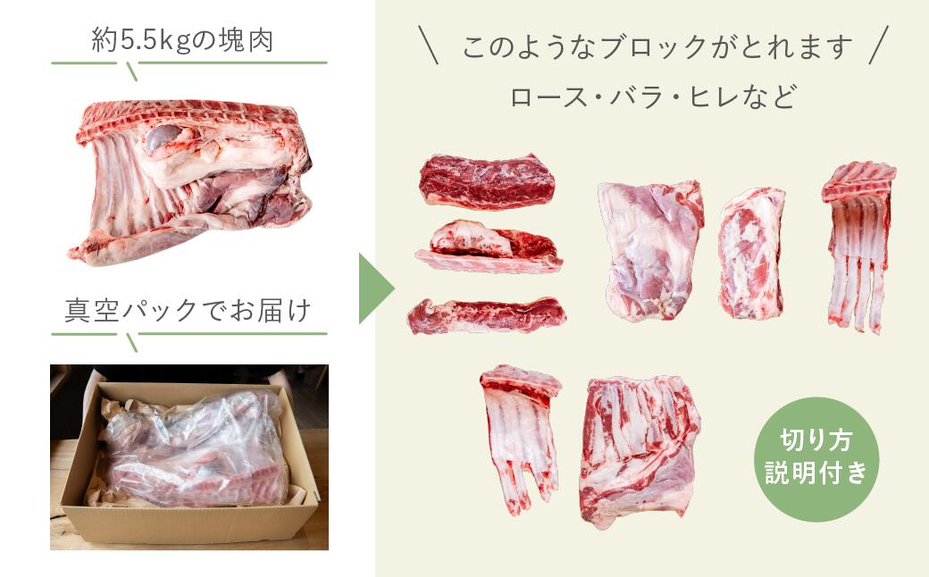 【ふるさと納税】【北海道中川町】＜横山牧場 やまのよこのひつじ＞6分割【真ん中部位】放牧育ち ホゲット肉 国産 希少 羊肉 塊肉 骨付き ロース バラ ヒレ お肉 肉 焼肉 プレミアム
