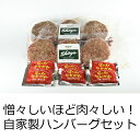 【ふるさと納税】A23 憎々しいほど肉肉しい!自家製ハンバーグセット