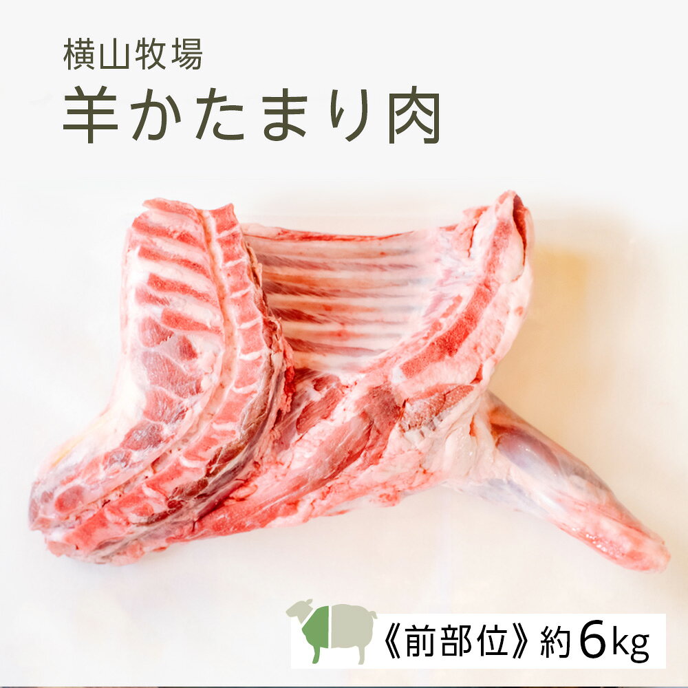羔羊 - 【ふるさと納税】【北海道中川町】＜横山牧場 やまのよこのひつじ＞6分割【前部位】放牧育ち ホゲット肉 国産 希少 羊肉 塊肉 骨付き ショルダー 肩ロース ネック ブレスト お肉 肉 焼肉 プレミアム