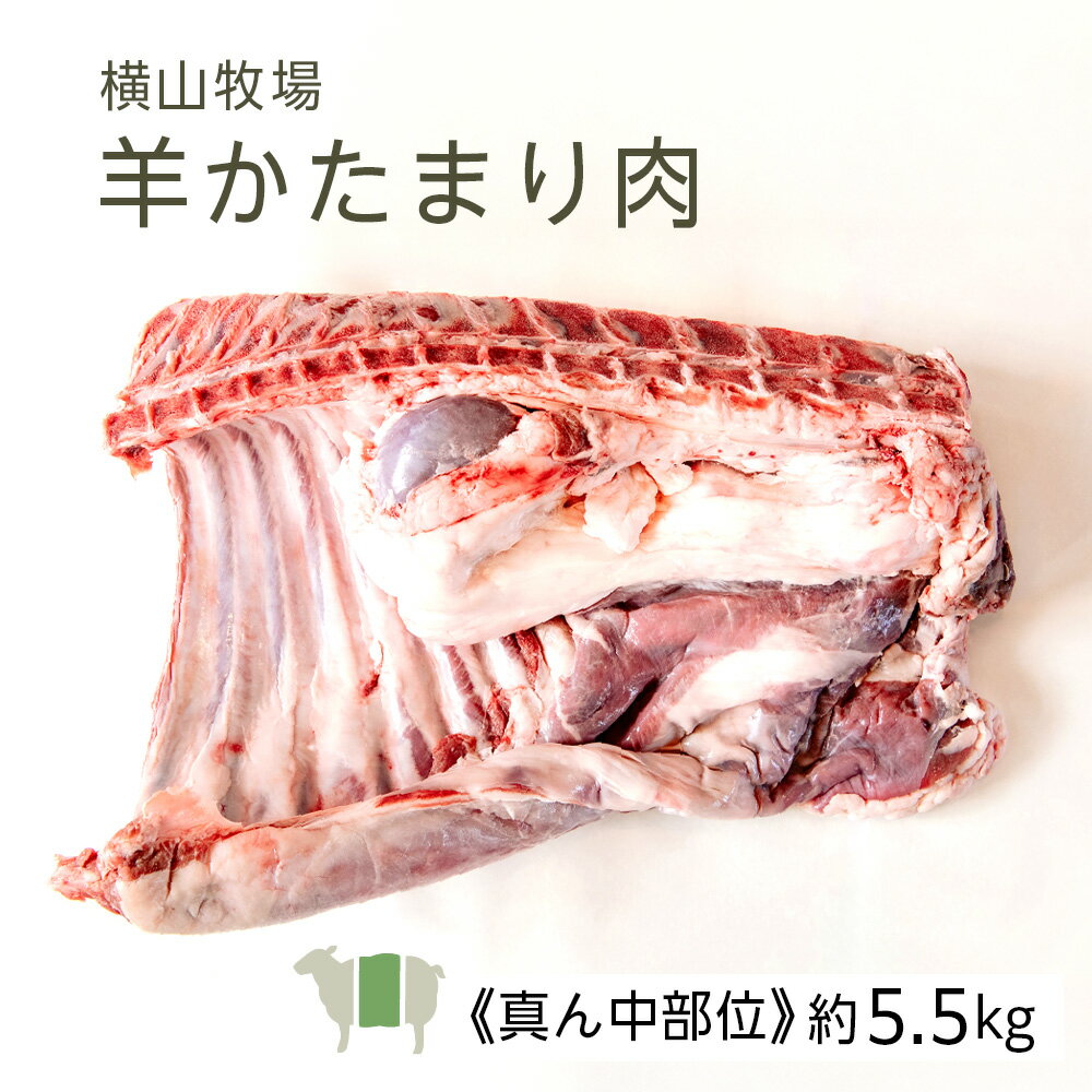 Lamb - 【ふるさと納税】【北海道中川町】＜横山牧場 やまのよこのひつじ＞6分割【真ん中部位】放牧育ち ホゲット肉 国産 希少 羊肉 塊肉 骨付き ロース バラ ヒレ お肉 肉 焼肉 プレミアム