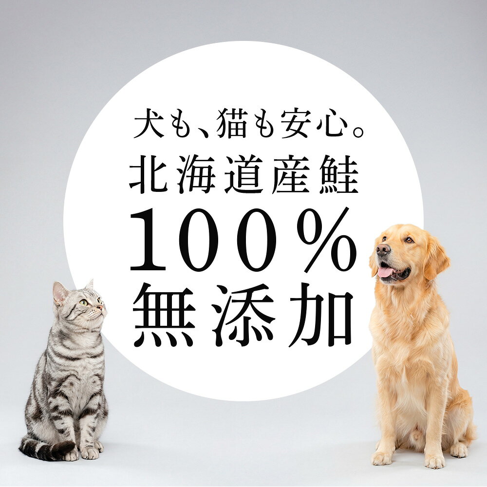 【ふるさと納税】ペット用 シャケジャーキー 〜 森魚 モリオ 〜