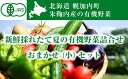【ふるさと納税】新鮮採れたて夏の有機野菜詰合せ(小)おまかせ...