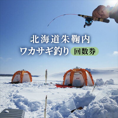 北海道朱鞠内 ワカサギ釣り回数券　