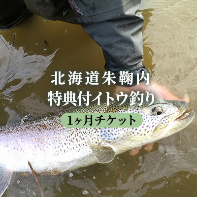 8位! 口コミ数「0件」評価「0」北海道朱鞠内 特典付イトウ釣り1ヶ月チケット　【チケット】