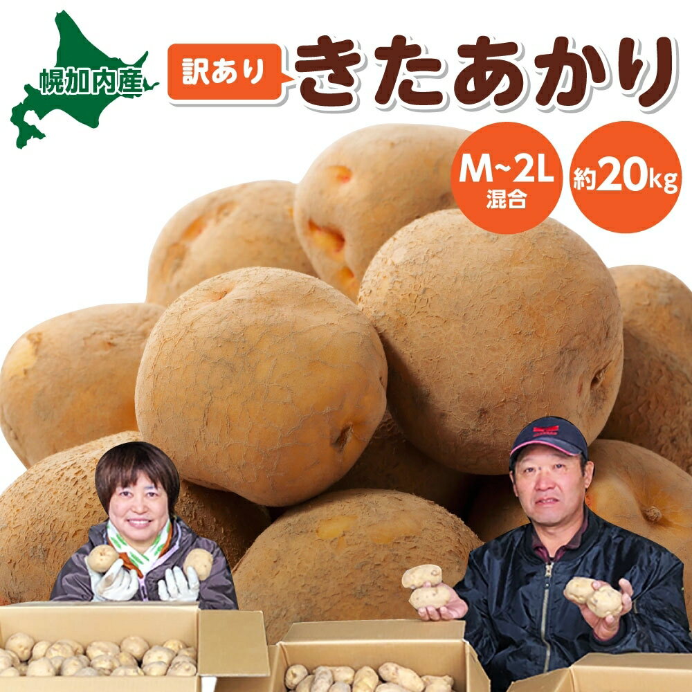 【ふるさと納税】北海道幌加内産じゃがいも（きたあかり）約20kg　【野菜・イモ・野菜・じゃがいも・ジャガイモ・芋・キタアカリ】　お届け：2023年9月下旬〜2023年12月15日