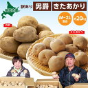 【ふるさと納税】北海道幌加内産じゃがいも約20kg（男爵・きたあかり）　【野菜・じゃがいも・キタアカリ・ジャガイモ・芋】　お届け：2023年9月下旬〜2023年12月15日