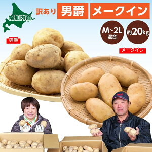 【ふるさと納税】北海道幌加内産じゃがいも約20kg（男爵・メークイン）　【野菜・じゃがいも・ジャガイモ・芋】　お届け：2023年9月下旬〜2023年12月15日