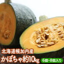 【ふるさと納税】特別栽培 北海道 幌加内産 かぼちゃ 約10kg　【野菜・じゃがいも】　お届け：20