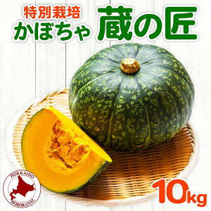 【ふるさと納税】特別栽培 北海道 幌加内産 かぼちゃ 約10kg　【野菜・じゃがいも】　お届け：2023年10月初旬〜2023年11月中旬