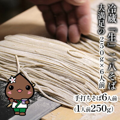 冷蔵『生』二八そば 大満足の250g×6人前 北海道幌加内【霧立亭】　【麺類・二八そば・そば・蕎麦・手打ち・手打ちそば】