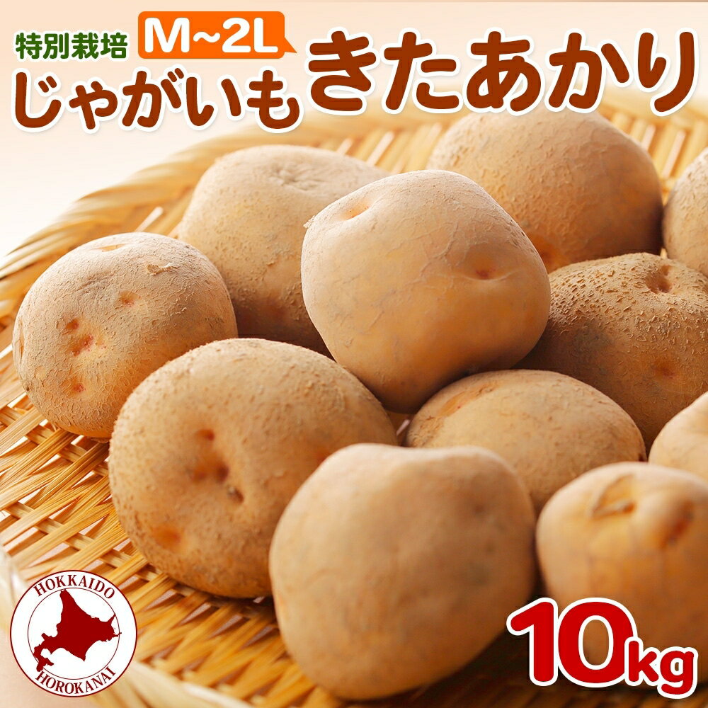 3位! 口コミ数「0件」評価「0」＜2024年秋以降出荷＞北海道 特別栽培 じゃがいも きたあかり M～2L 約 10kg ジャガイモ 馬鈴薯 芋 いも イモ ポテト 野菜 ･･･ 