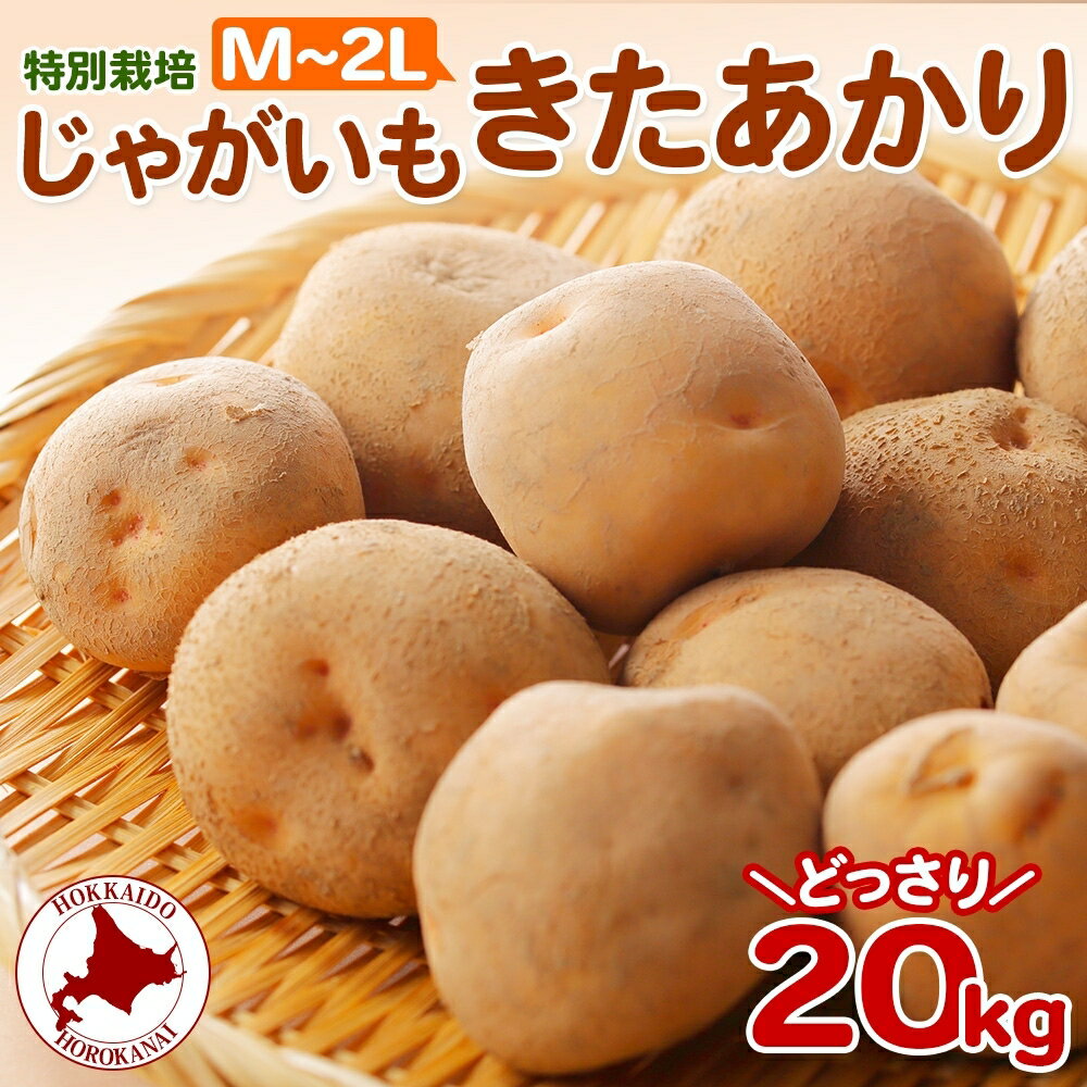 4位! 口コミ数「0件」評価「0」＜2024年秋以降出荷＞北海道 特別栽培 じゃがいも きたあかり M～2L 約 20kg ジャガイモ 馬鈴薯 芋 いも イモ ポテト 野菜 ･･･ 