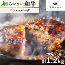 【ふるさと納税】北海道 ほろかない和牛 生ハンバーグ 200g×6 計1.2kg 黒毛 和牛 牛肉 肉 国産 ブランド牛 ハンバーグ ジューシー 贅沢 ギフト ...