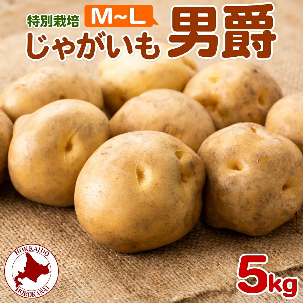 [2025年秋以降出荷] 北海道 じゃがいも 男爵 M〜L 約5kg 特別栽培 ジャガイモ 馬鈴薯 だんしゃく 芋 いも イモ ポテト 野菜 根菜 農作物 国産 甘い 冬野菜 お取り寄せ 産地直送 北海道産 送料無料 お届け:2025年10月〜2026年1月末頃までお届け