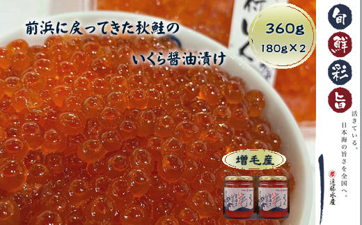 【ふるさと納税】8-028-003　いくら醤油漬け 360g（180g×2本）【11月～発送】　魚貝類・いくら・魚卵・魚貝類・魚介類　お届け：入金確認後、1週間～1ヶ月以内