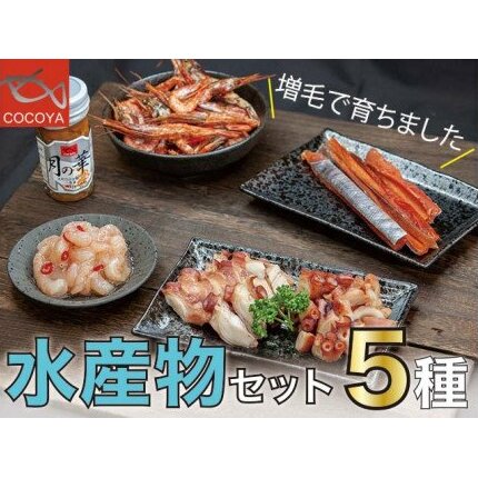 【ふるさと納税】5-010-010　「増毛で育ちました」水産物セット　【魚貝類・ウニ・雲丹・魚貝類・タコ・甘海老・あまエビ】　お届け：入金確認後、随時発送（おおよそ1週間〜1ヶ月）のサムネイル