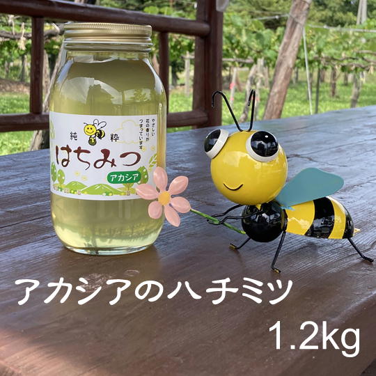 【ふるさと納税】8-026-008　増毛町産ハチミツ（アカシア）1.2kg　蜂蜜・はちみつ・調味料・加工食品　お届け：入金確認後、1週間～1ヶ月以内